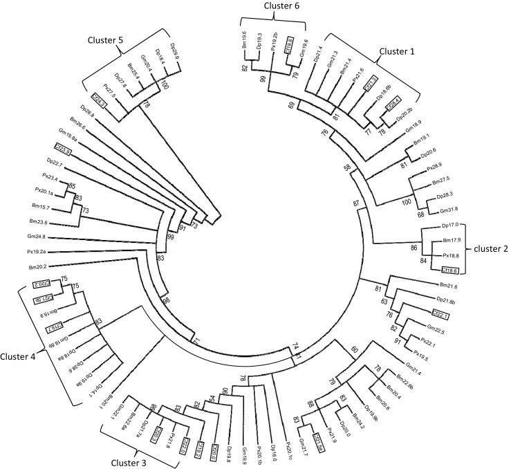 Fig. 3