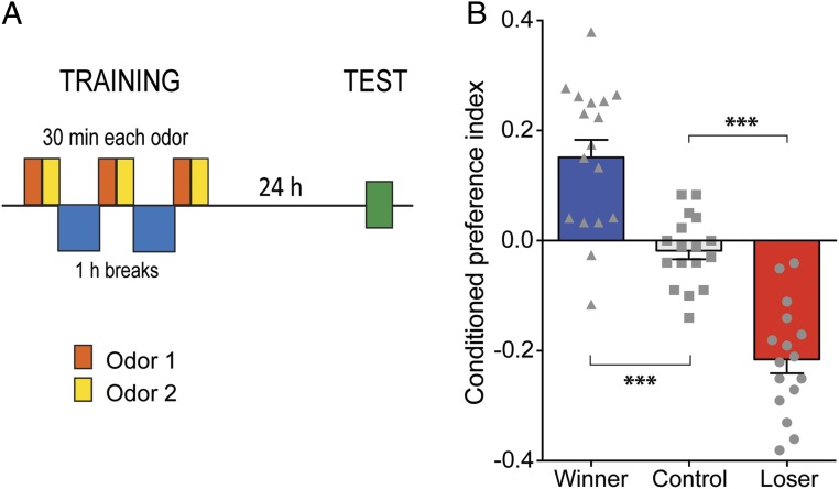 Fig. 2.