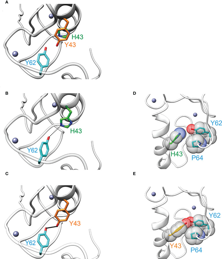 Figure 3