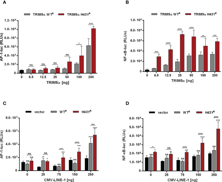 Figure 4