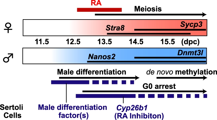 FIG. 7