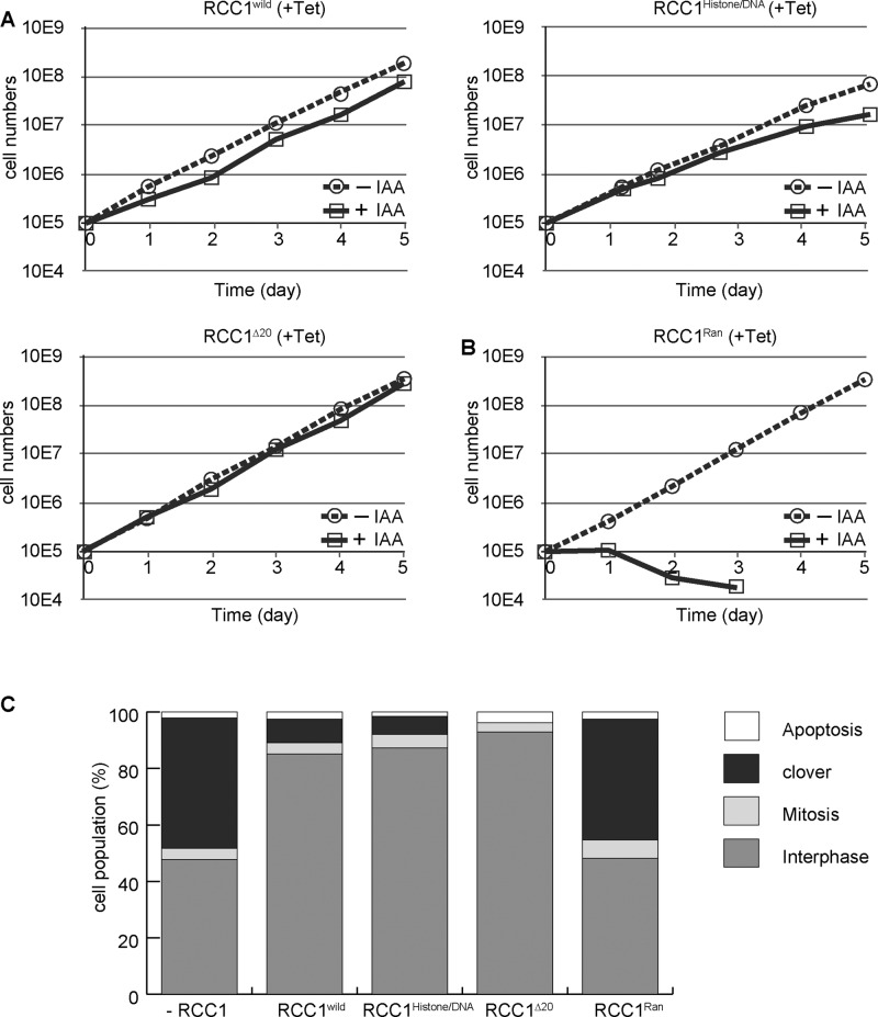 FIGURE 4: