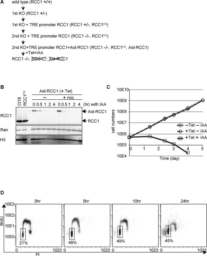 FIGURE 1: