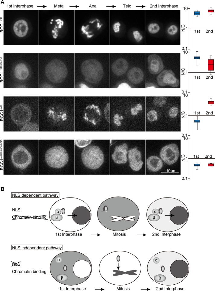 FIGURE 6: