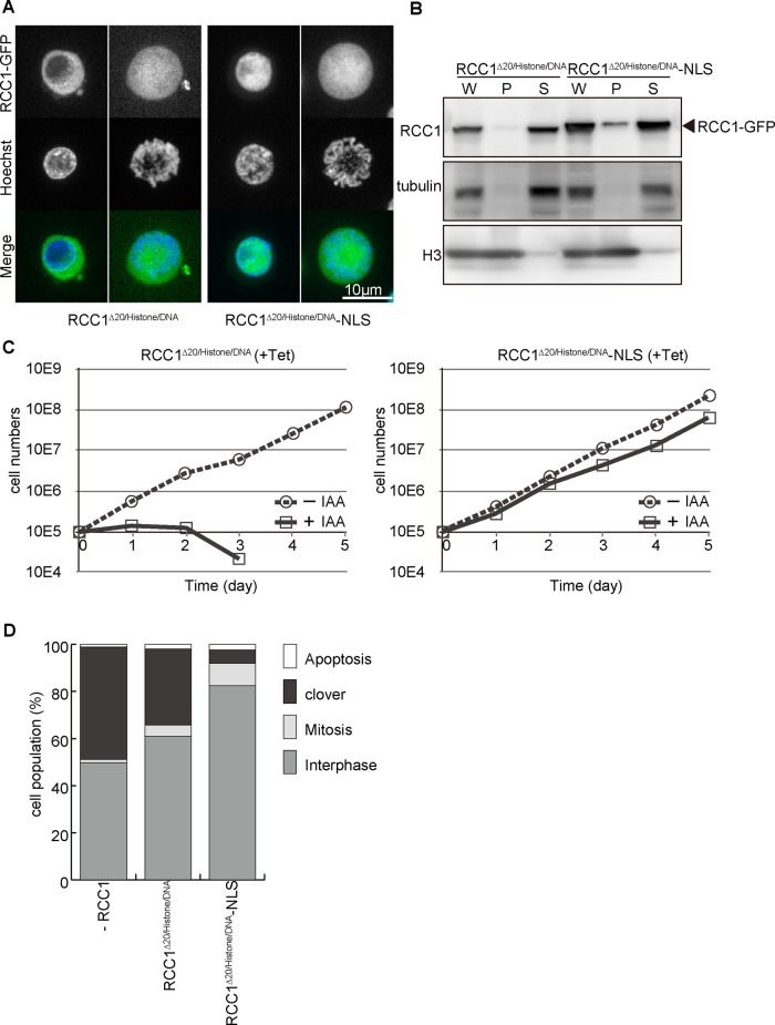 FIGURE 5: