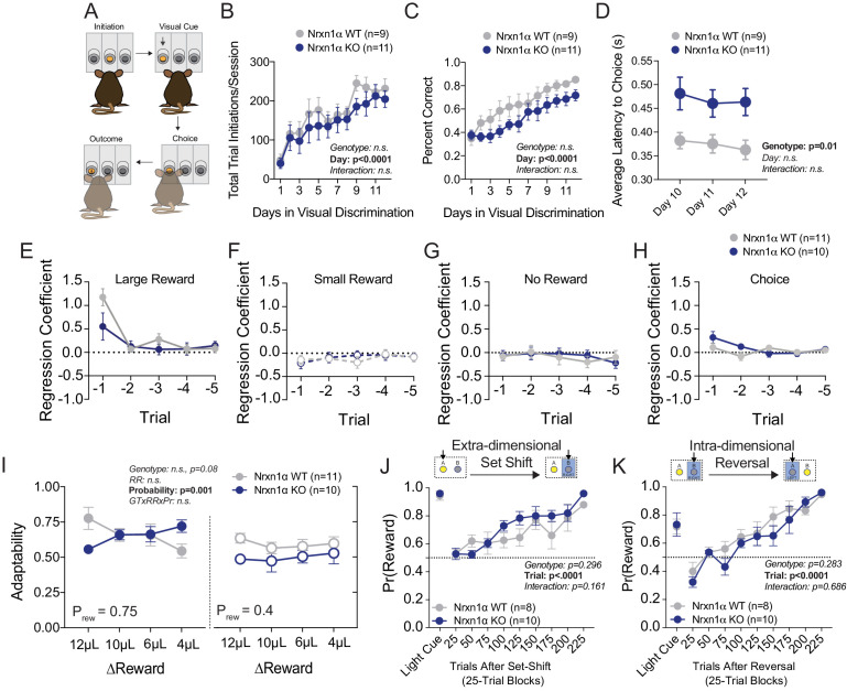 Figure 1—figure supplement 1.