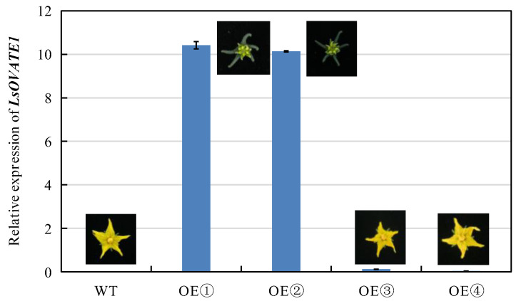 Figure 9