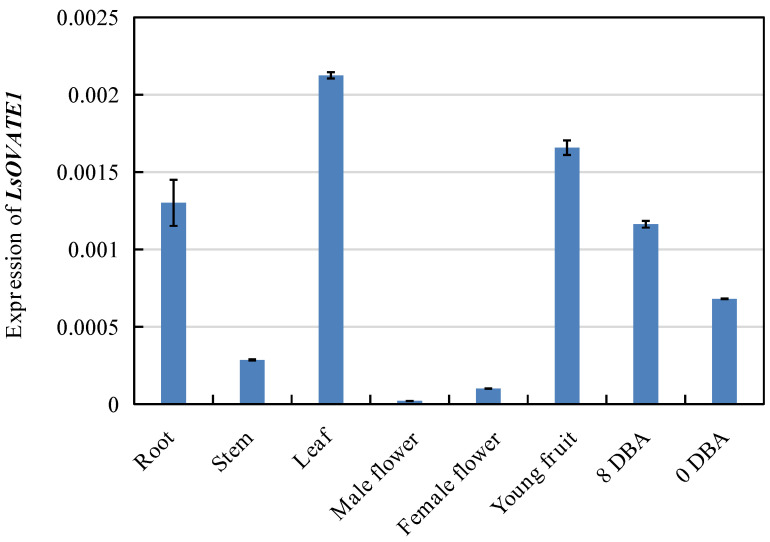 Figure 6