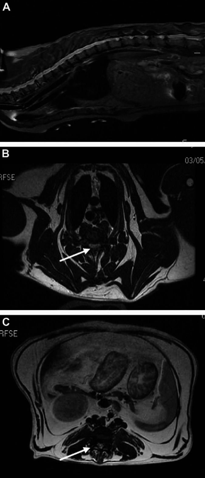 Fig 1.