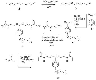 Scheme 2