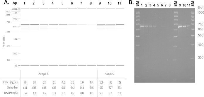 FIG 2