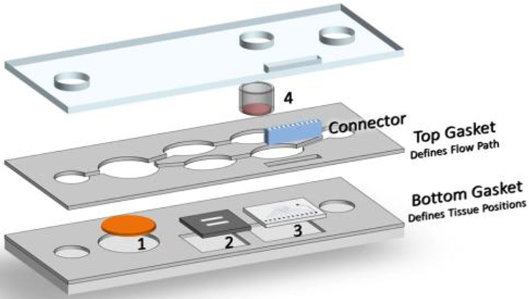 Figure 1: