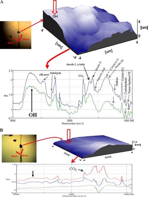 FIGURE 1.