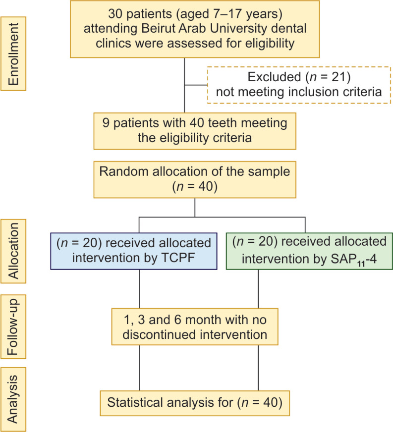 Flowchart 1