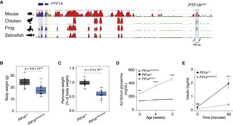 Figure 1