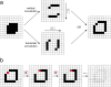 Figure 1—figure supplement 1.
