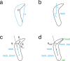 Figure 1—figure supplement 5.