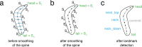 Figure 1—figure supplement 3.