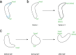 Figure 1—figure supplement 2.