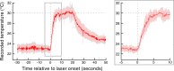 Figure 2—figure supplement 1.