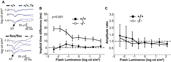 Fig. 2