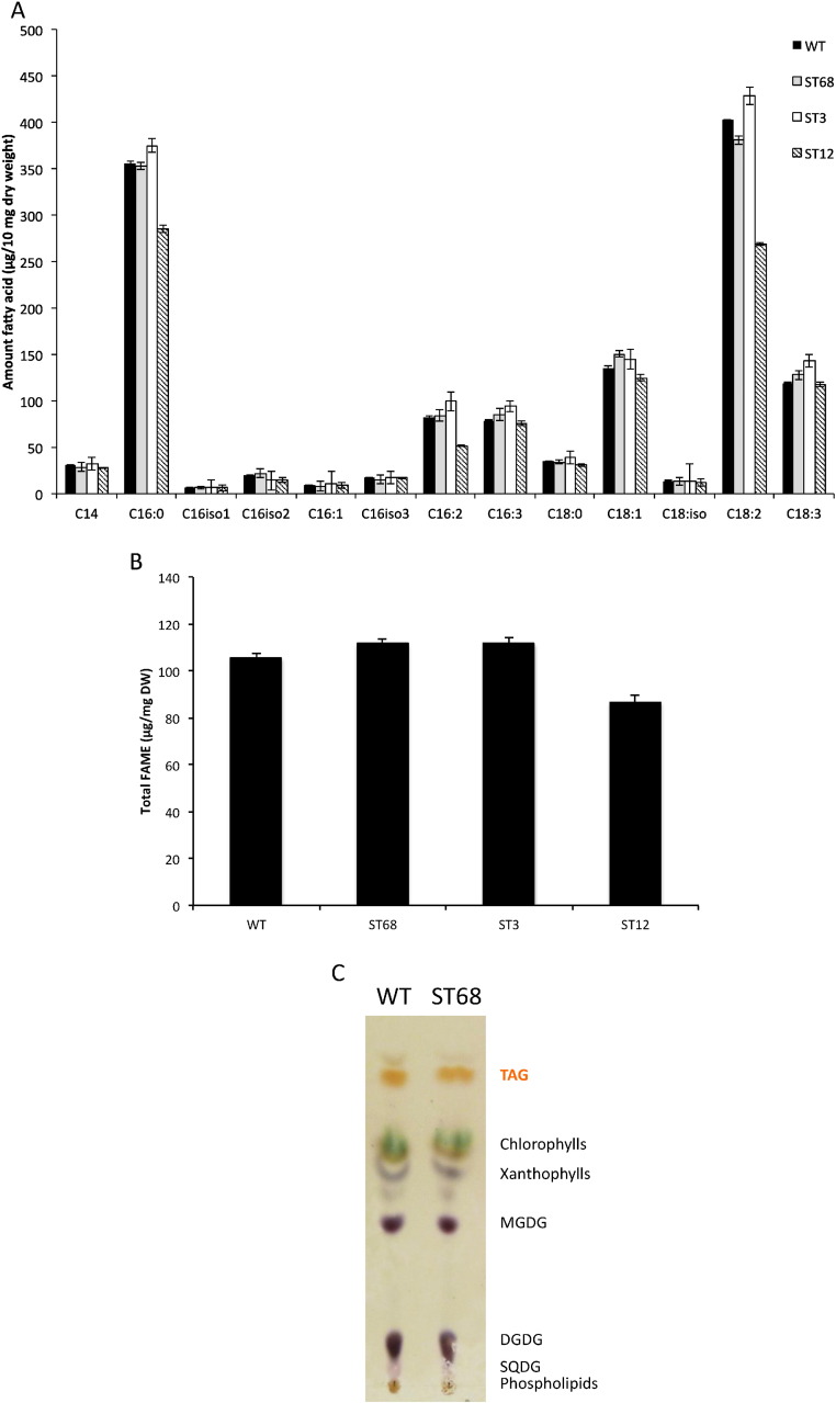 Fig. 10