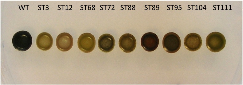 Fig. 1