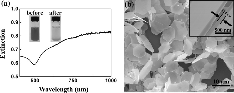 Fig. 2