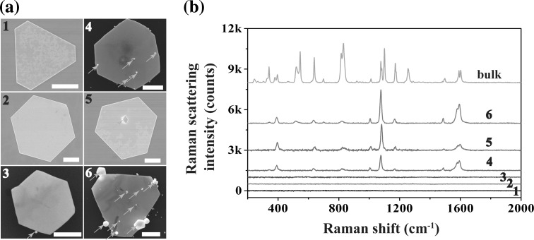 Fig. 8