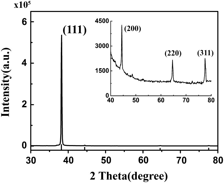 Fig. 3