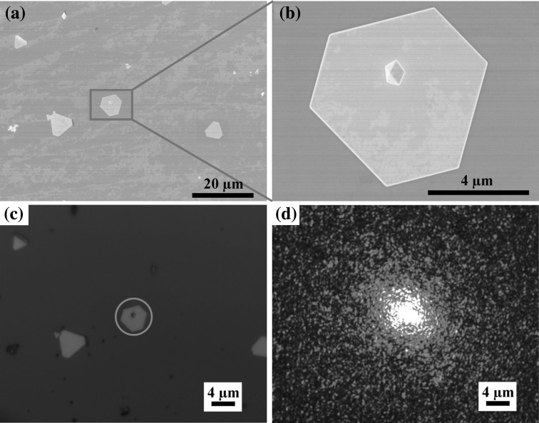 Fig. 7