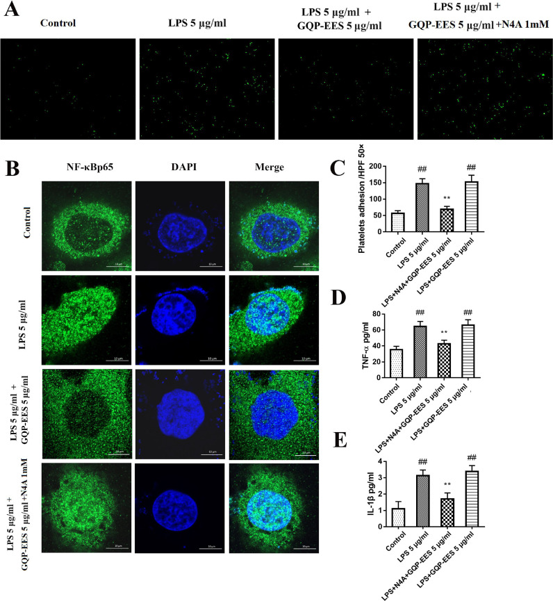 Fig 10