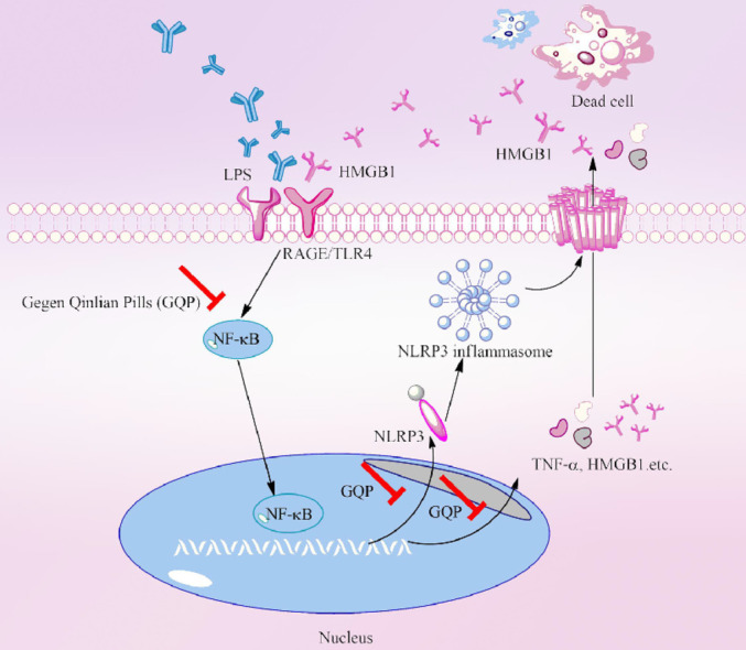 Image, graphical abstract