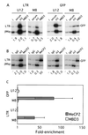 FIG. 7