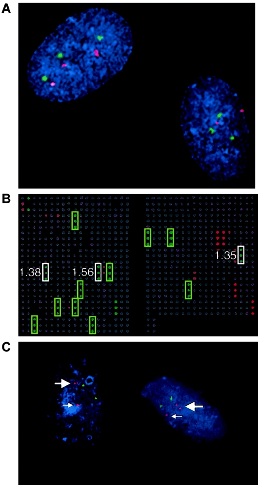 Figure  1