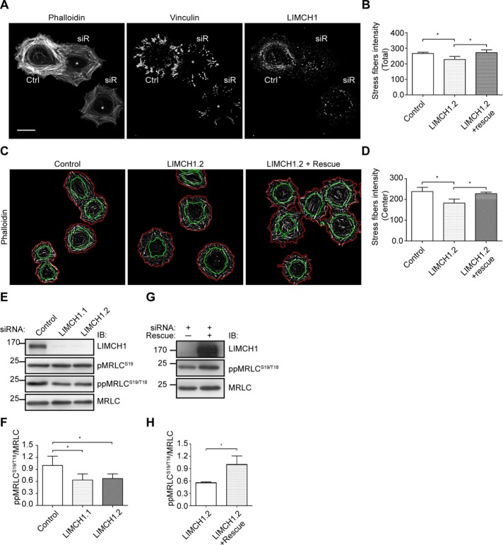 FIGURE 6: