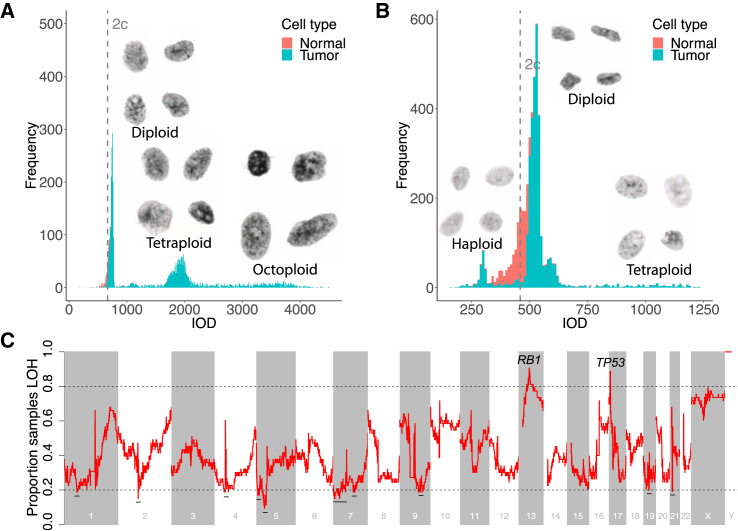 Figure 6