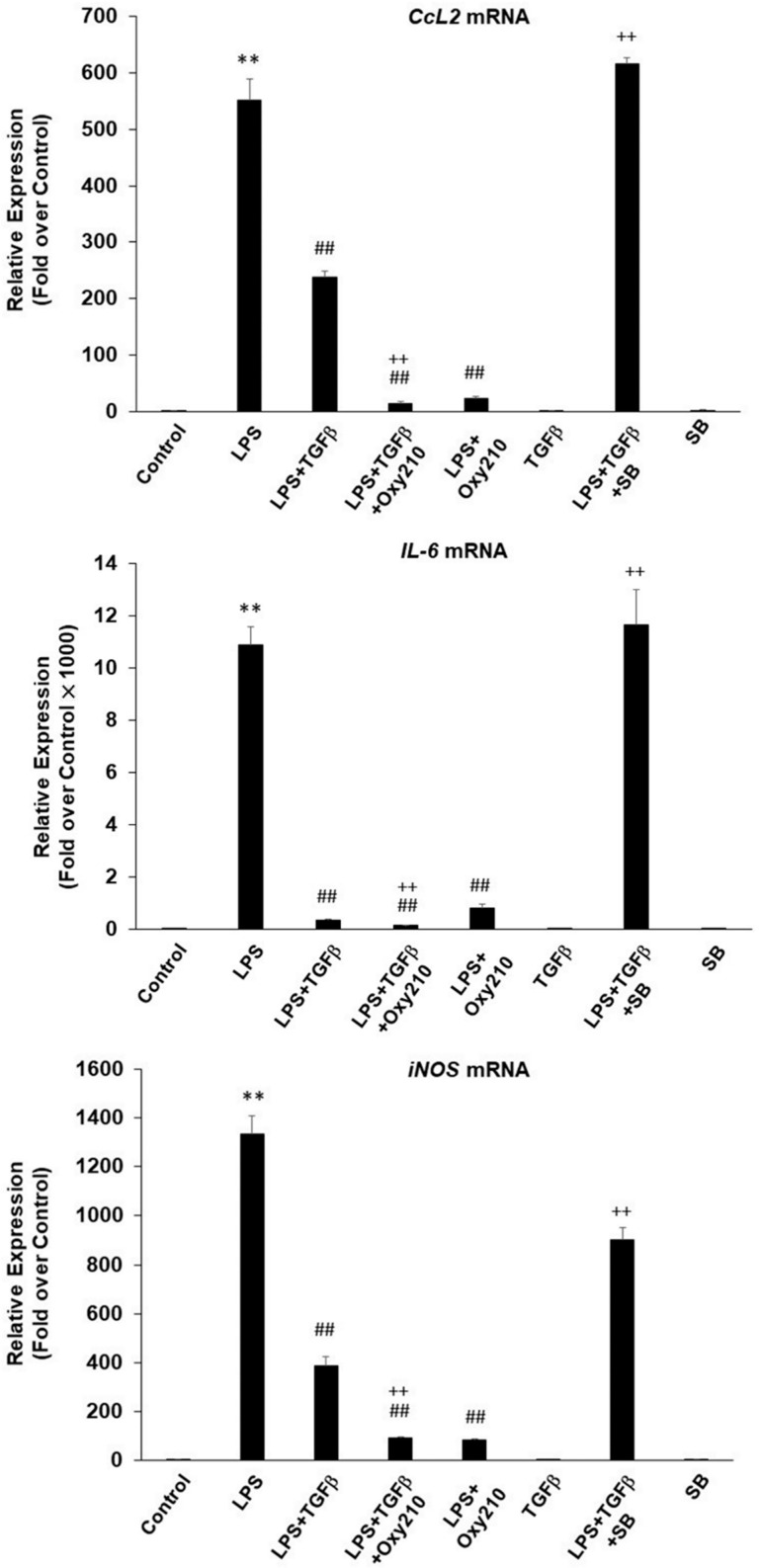 Figure 13