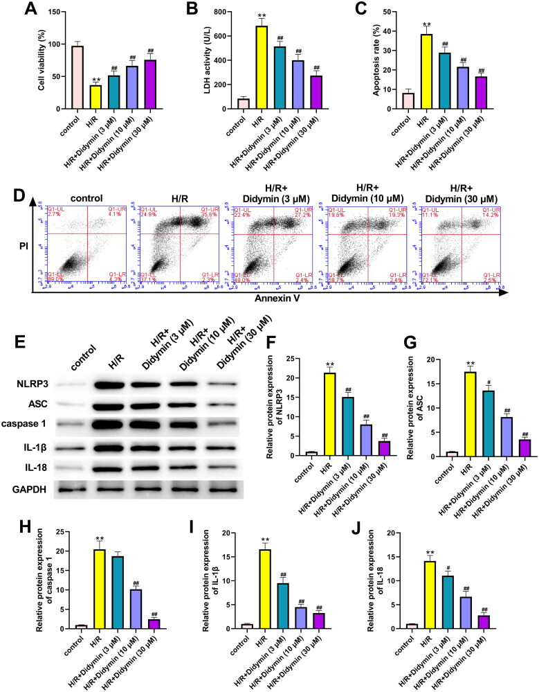 Figure 6.