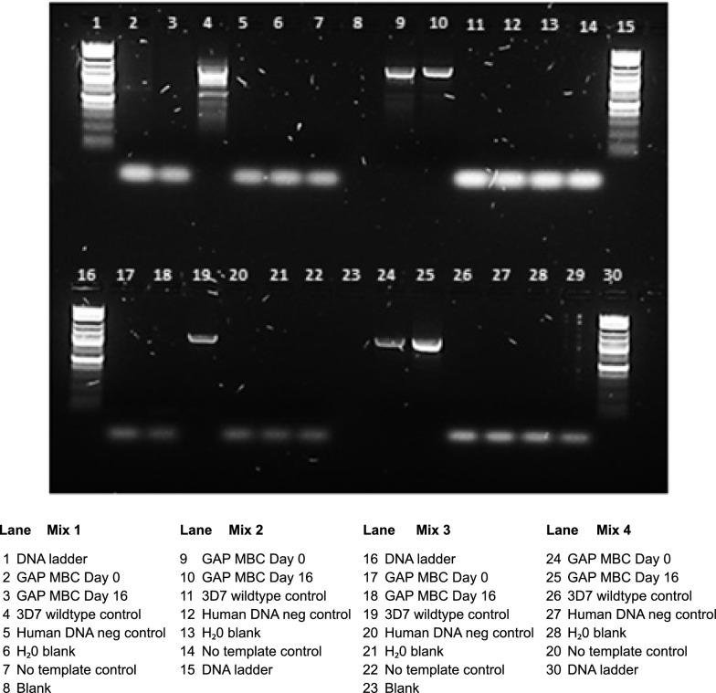 Fig. 6