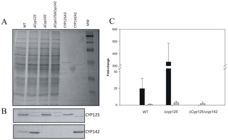 Fig. 9