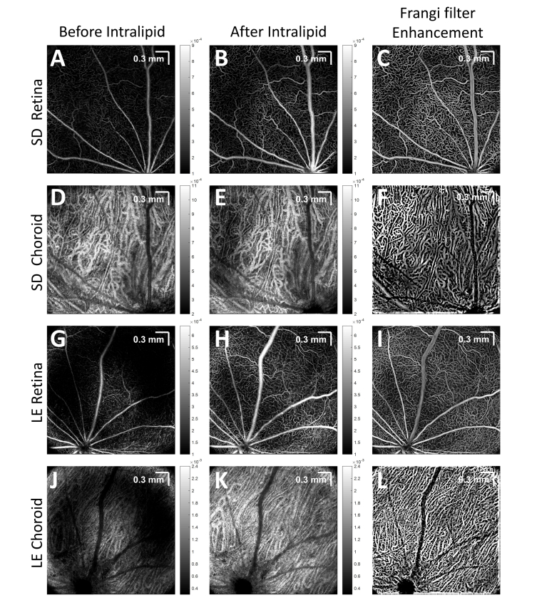 Fig. 6