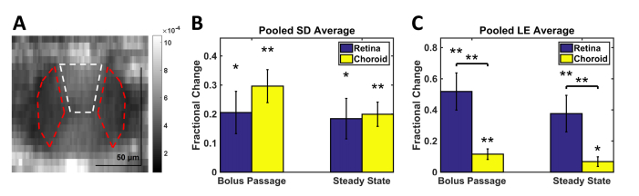 Fig. 11