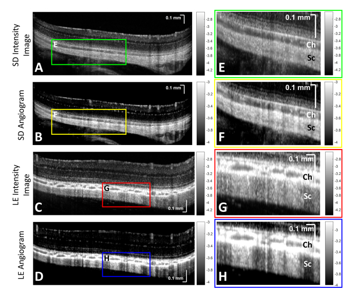 Fig. 4