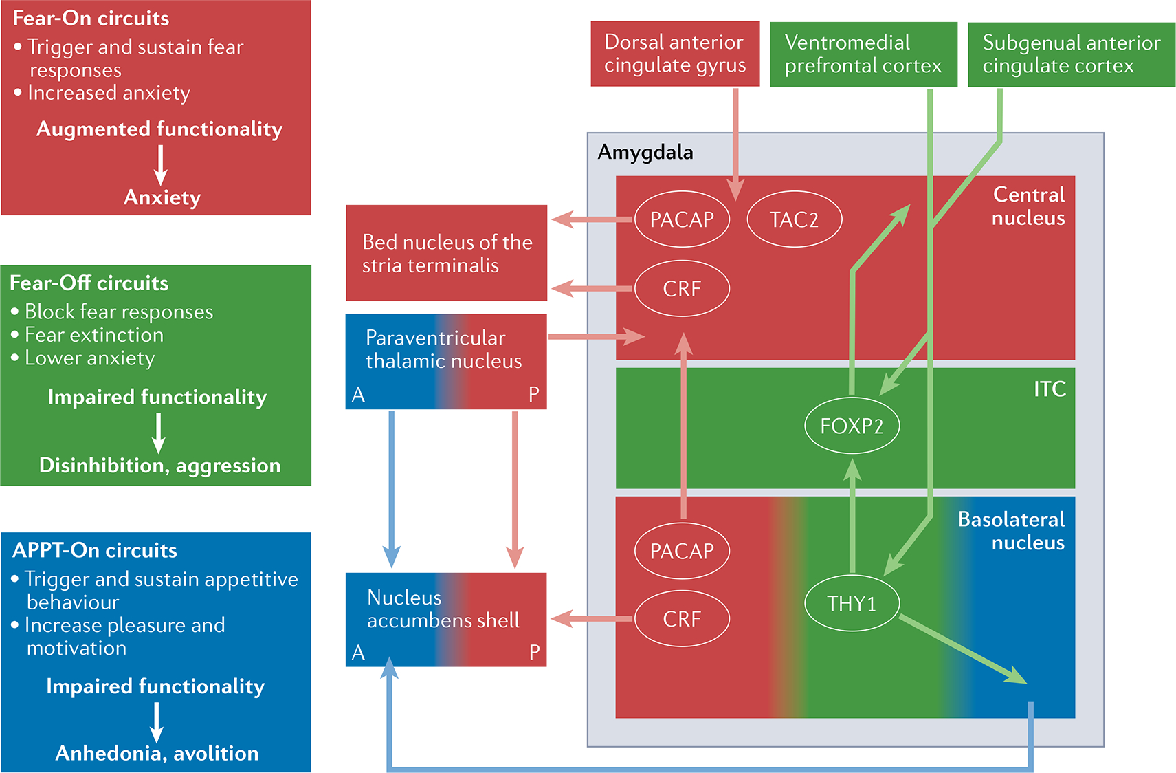 Fig. 3 |