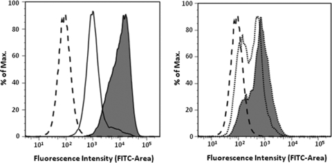 FIG. 1.