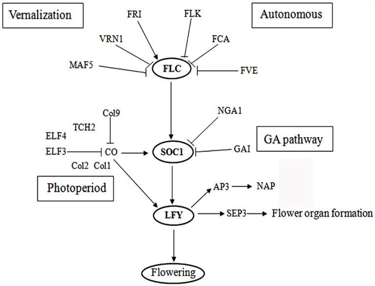 Fig 5