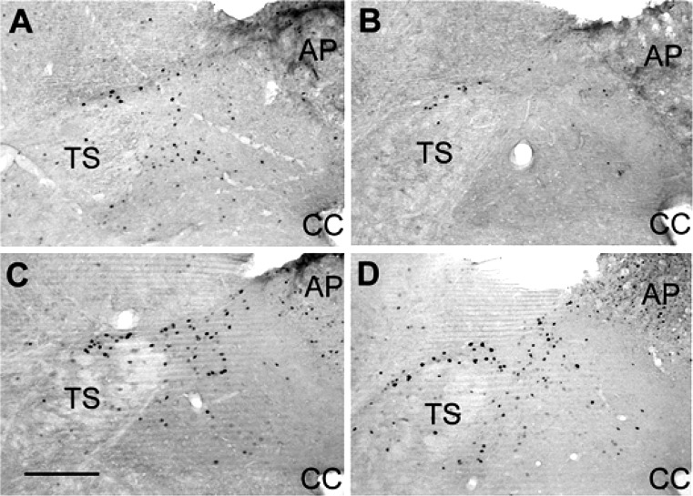 Fig. 8.