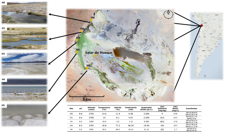 FIGURE 1