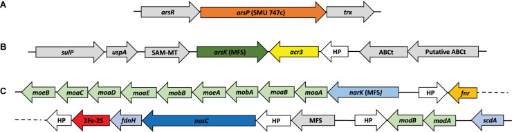 FIGURE 5